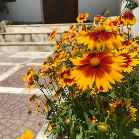 Πανσιόν семейна къща “вълчеви”